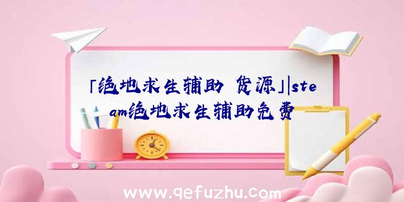 「绝地求生辅助